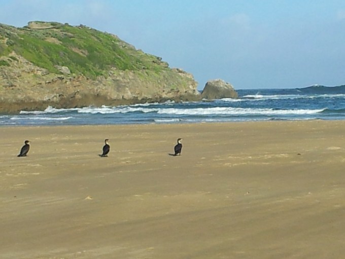 towars the island robberg 20