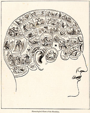 phrenology 1